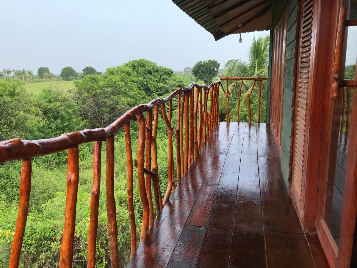 Yala Eco Tree House New Hotel Tissamaharama Kültér fotó