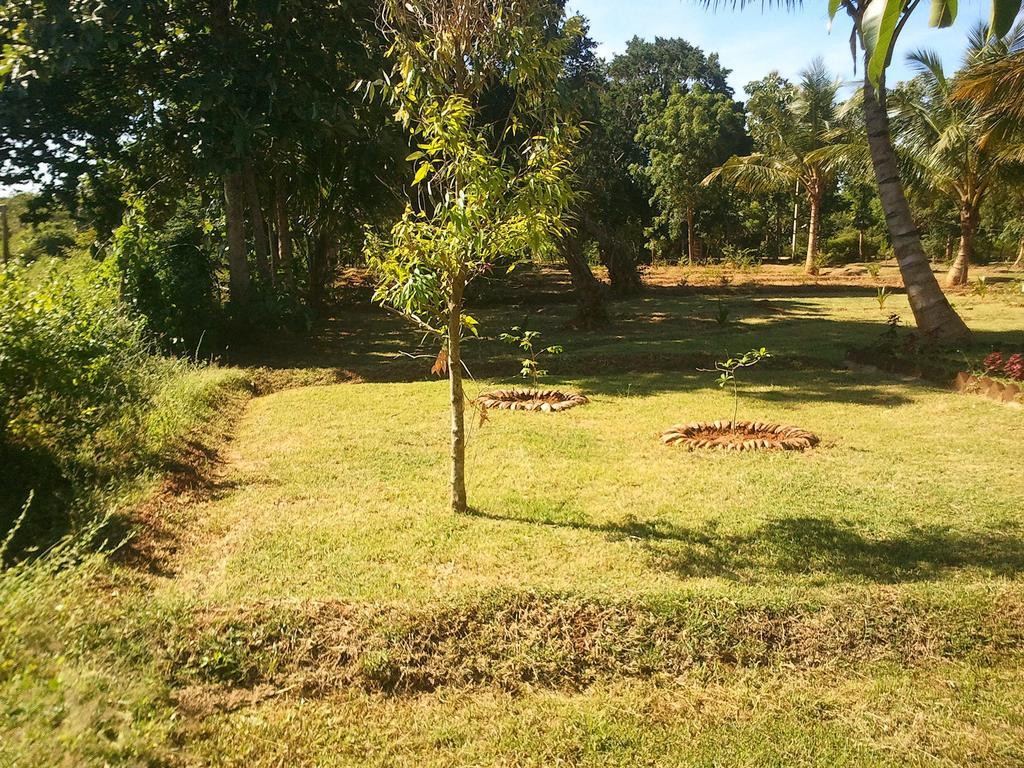 Yala Eco Tree House New Hotel Tissamaharama Kültér fotó