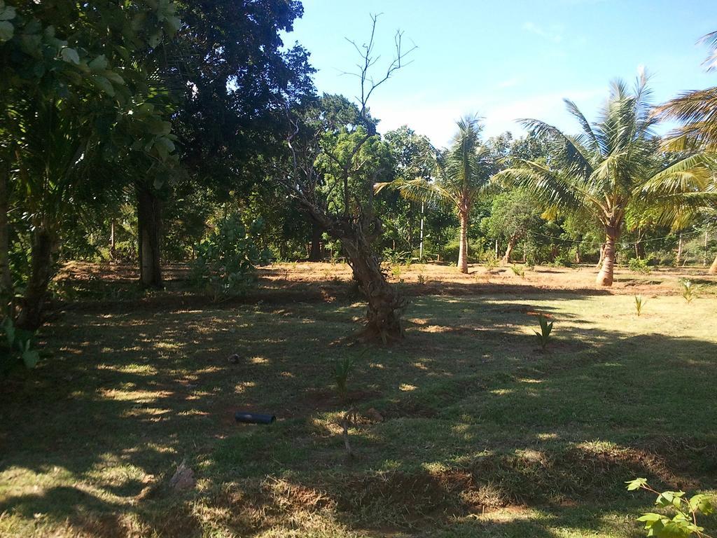 Yala Eco Tree House New Hotel Tissamaharama Kültér fotó