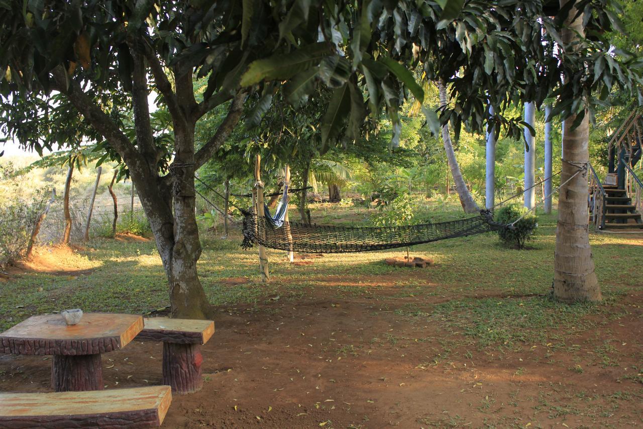 Yala Eco Tree House New Hotel Tissamaharama Kültér fotó