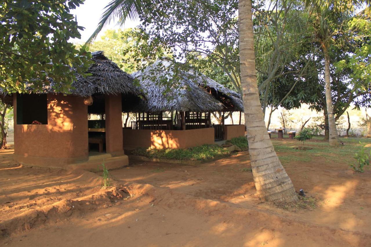 Yala Eco Tree House New Hotel Tissamaharama Kültér fotó