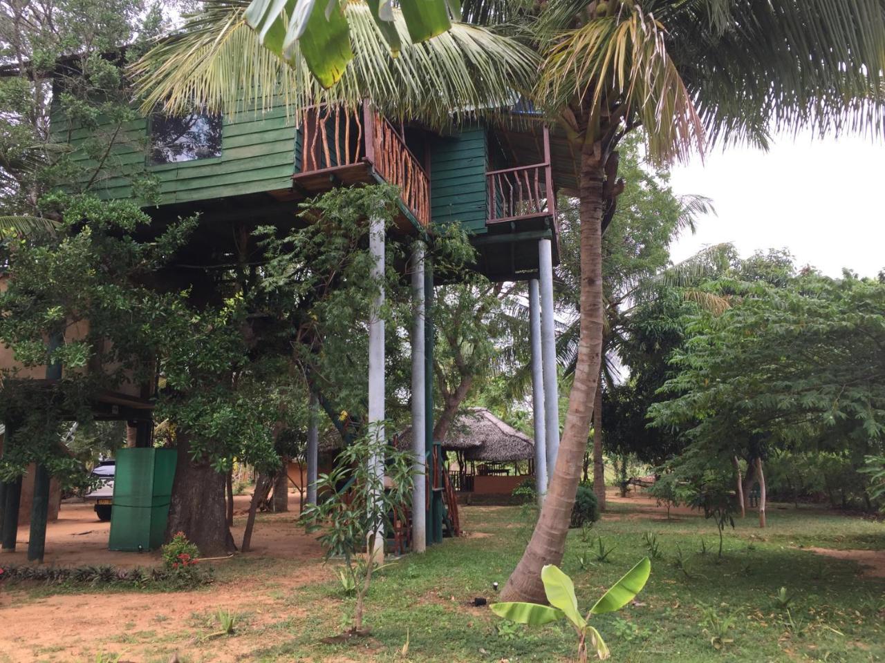 Yala Eco Tree House New Hotel Tissamaharama Kültér fotó