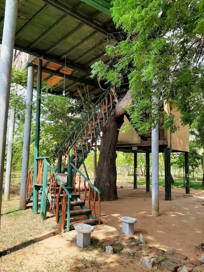 Yala Eco Tree House New Hotel Tissamaharama Kültér fotó