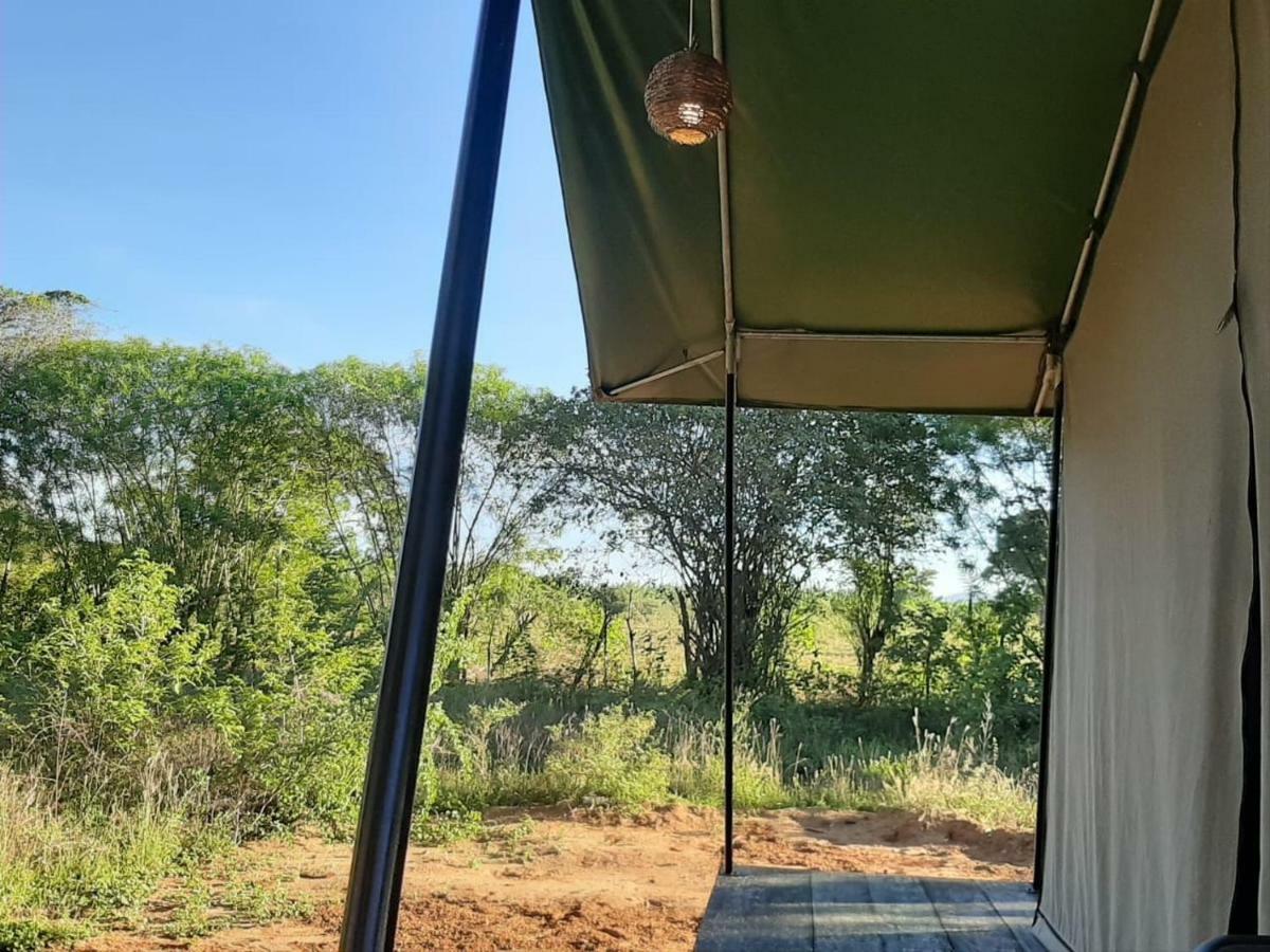 Yala Eco Tree House New Hotel Tissamaharama Kültér fotó