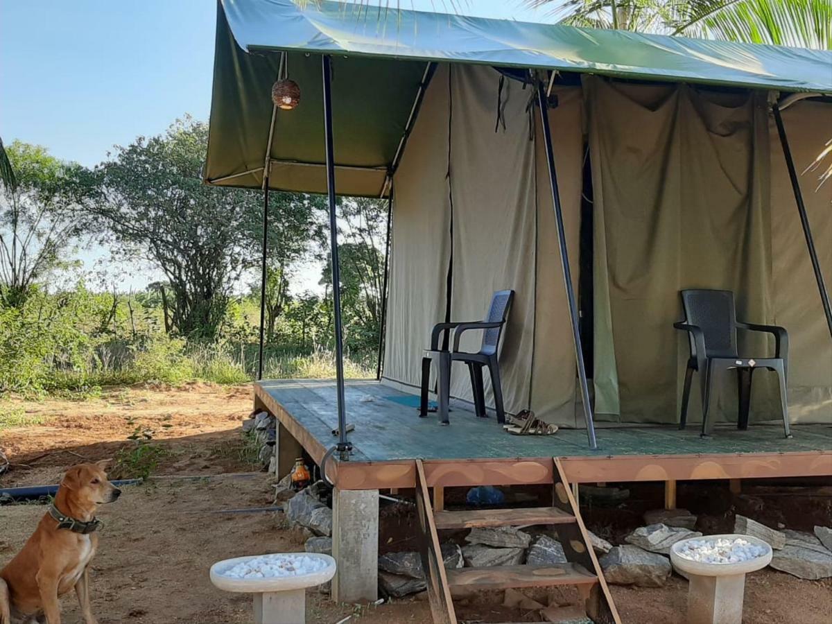 Yala Eco Tree House New Hotel Tissamaharama Kültér fotó