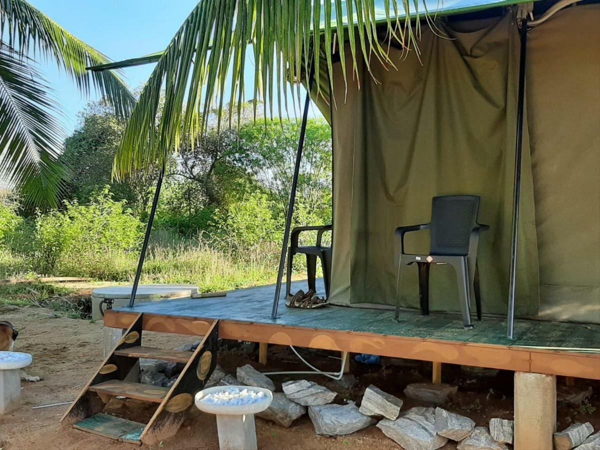 Yala Eco Tree House New Hotel Tissamaharama Kültér fotó