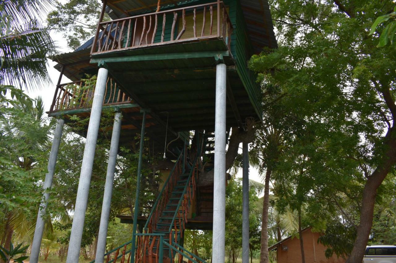 Yala Eco Tree House New Hotel Tissamaharama Kültér fotó